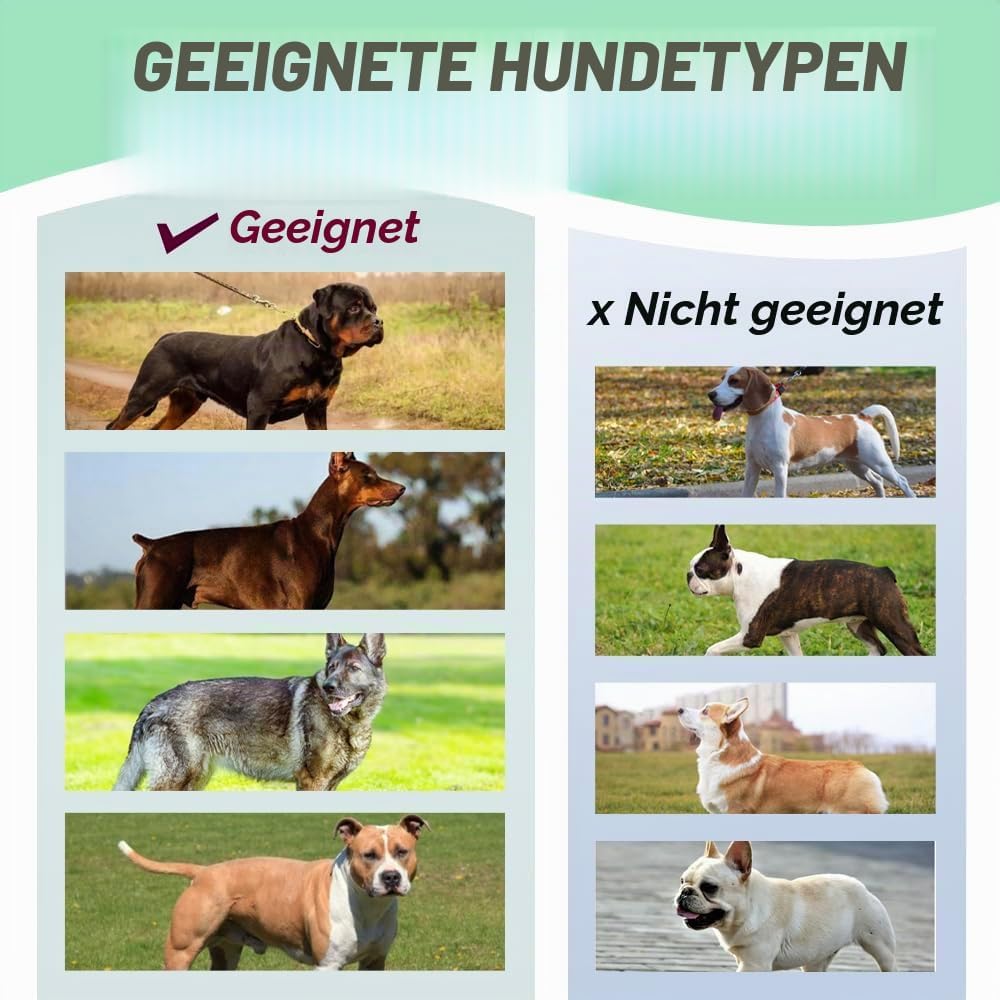 TSPRO Taktische Hundegeschirre mit Griff, 3,8 cm Breit, Militärqualität, Dick Gepolstert und Robust,