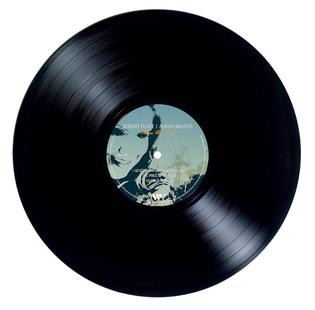 Raise the Roof [Vinyl LP], Vinyl