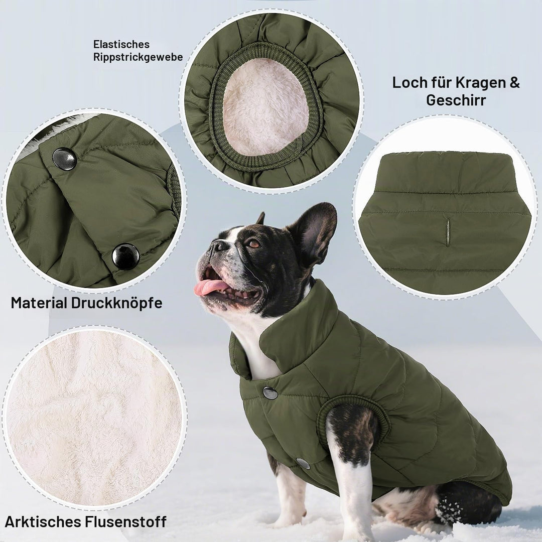 ASENKU Hundemantel für Kleine Hunde,Winddichte Hundejacke Winter wasserdichte Hundemantel mit Geschi