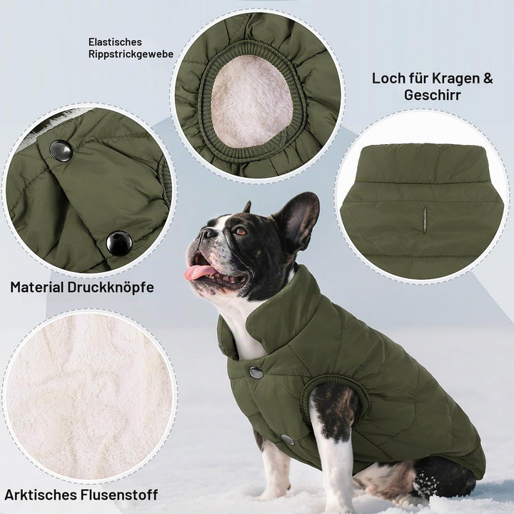 ASENKU Hundemantel für Kleine Hunde,Winddichte Hundejacke Winter wasserdichte Hundemantel mit Geschi