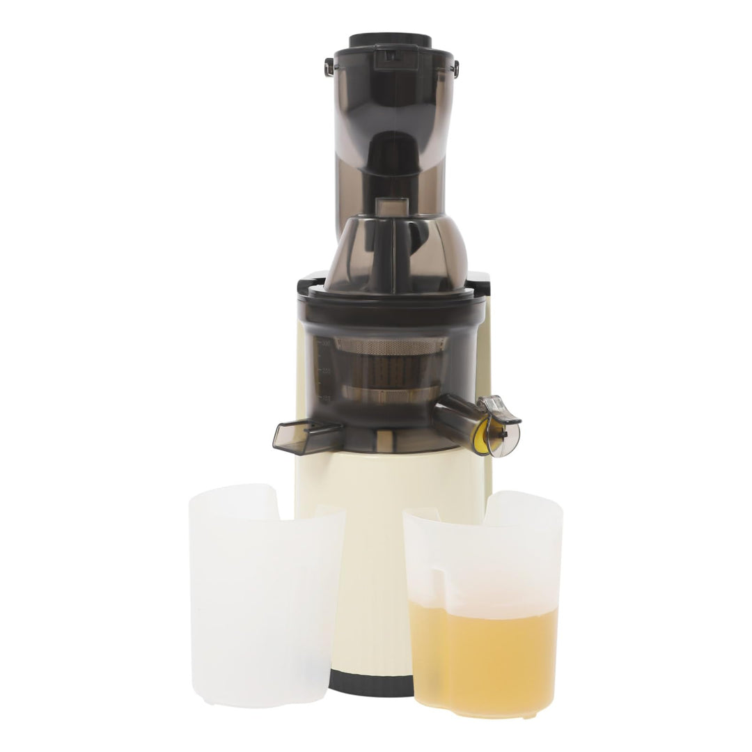 Standmixer Saftpresse für Obst Gemüse mit 48 Umin Schnecke