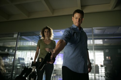 CSI: NY - Season 3 [6 DVDs], DVD
