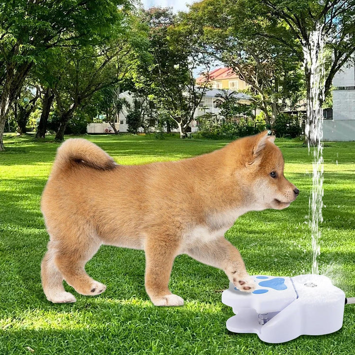 Wasserfontäne mit Pedal, Wasserspielzeug Hund, Hunde Trinkbrunnen, Pfotenaktivierter Trinkspender fü