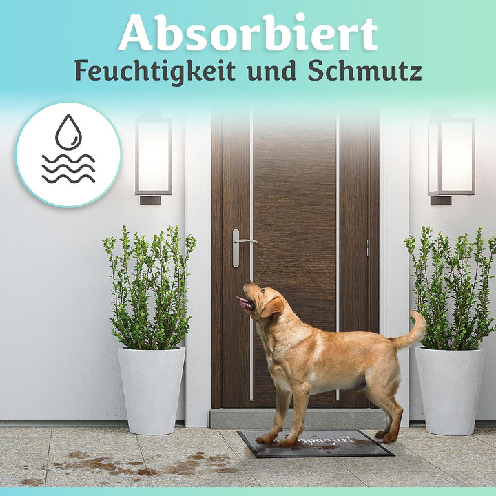 Hereinspaziert Fussmatte [Waschmaschinenfest] in 40x60cm - optimale Grösse für die Haustür. Schmutzf