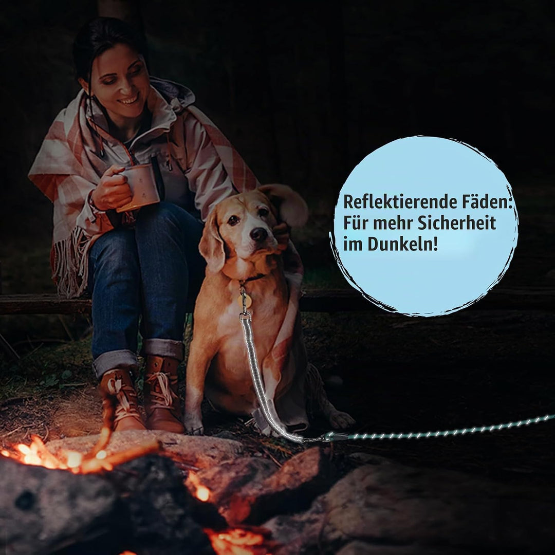 Aystkniet Bungee Schleppleine für Hunde 3M 5M 9M 10M 15M 20M 30M, Schockabsorbierende Hundeleine mit