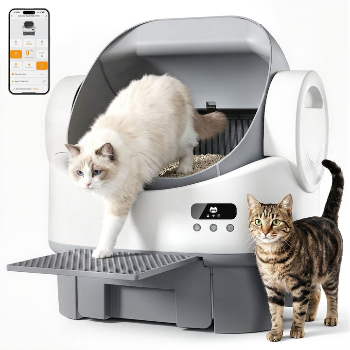 JUMMICO Automatisches Katzenklo, Selbstreinigend Mit Einklemmschutz &amp; Sicherheitsfunktionen, APP-Ste