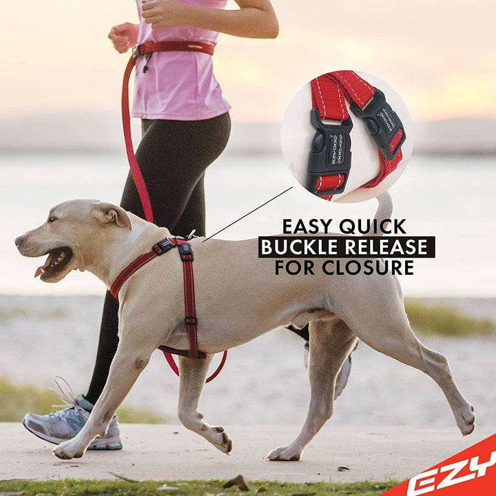 EZYDOG Hundegeschirr Classic Chest Plate | Hundegeschirr Kleine Hunde, K9 Hundegeschirr, Hundegeschi