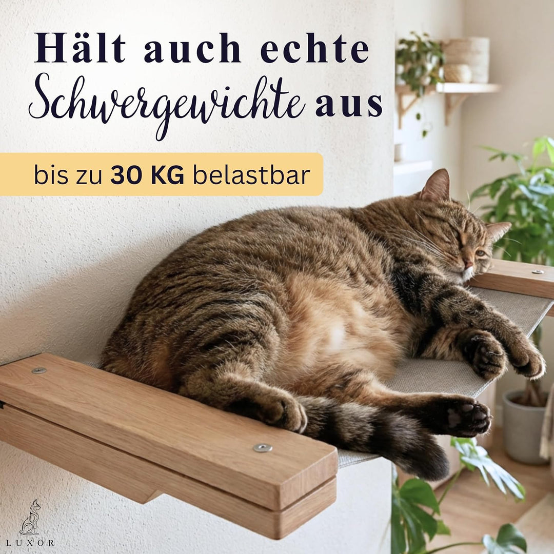 LUXOR Kletterwand Katzen Hängematte inkl. 2X Katzentreppe Wand &amp; Befestigungsmaterial - Stabilität u