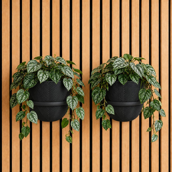 Pflanzenhalter für Akustikpaneele mit Blumentopf – 2er-Set (2 Ringe + 2 Töpfe) – Ohne Bohren oder mi