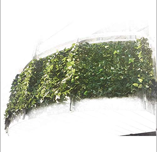 Sichtschutz Hecke "Efeu" Windschutz, Sichtschutzhecke