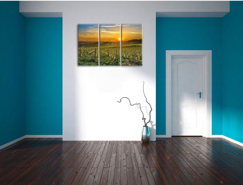 Pixxprint Weinberg in Bergerac Frankreich / 3-Teilig/Gesamtmass 120cm Leinwandbild bespannt auf Holz
