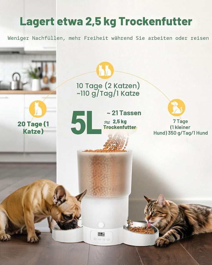 Gimars 5L Futterautomat Katze 2 Näpfe mit LCD-Anzeige Einfache Einrichtung, Programmierbar für 1–6 M
