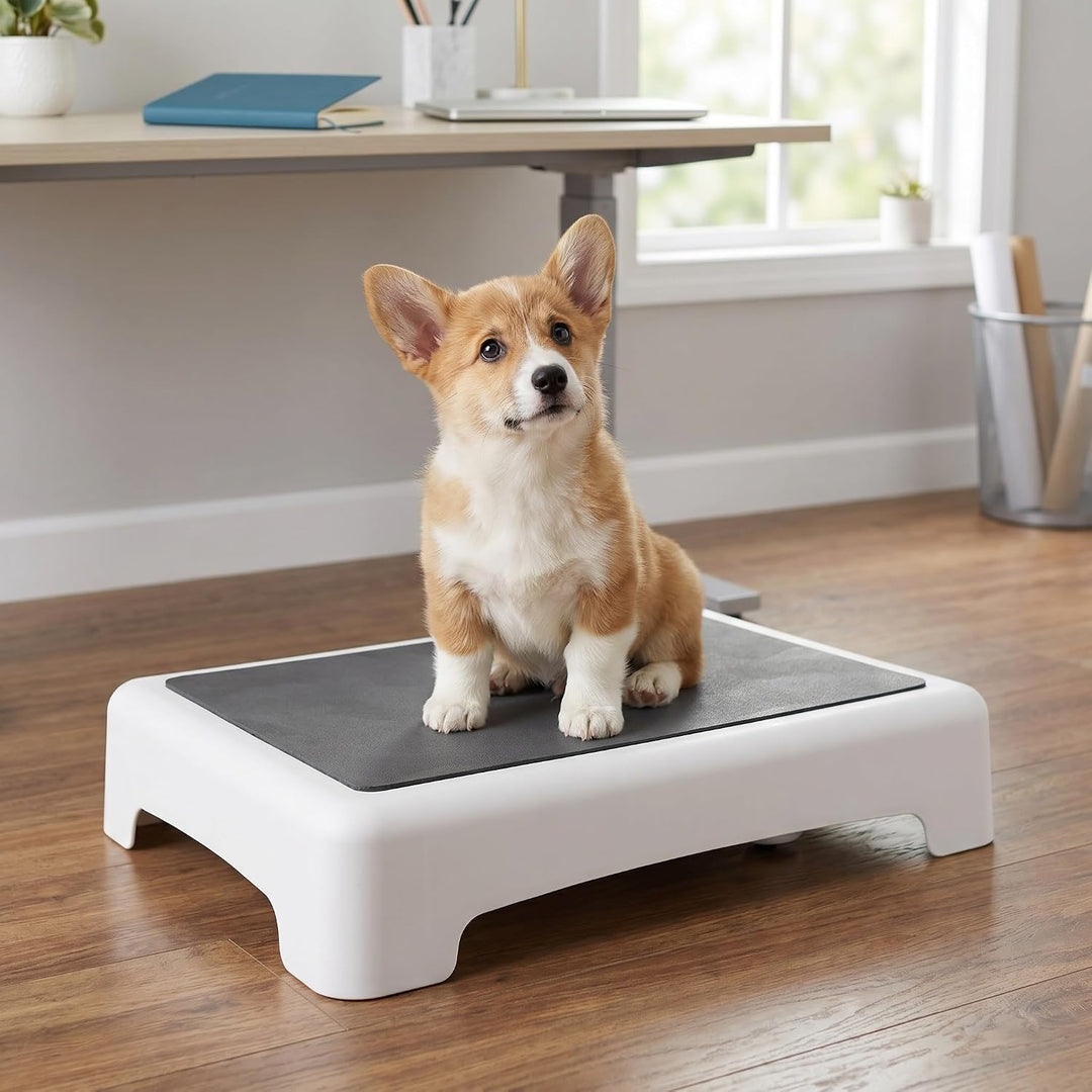 Toddmomy Hunde Trainingsboard mit Rutschfester Oberfläche für Welpen