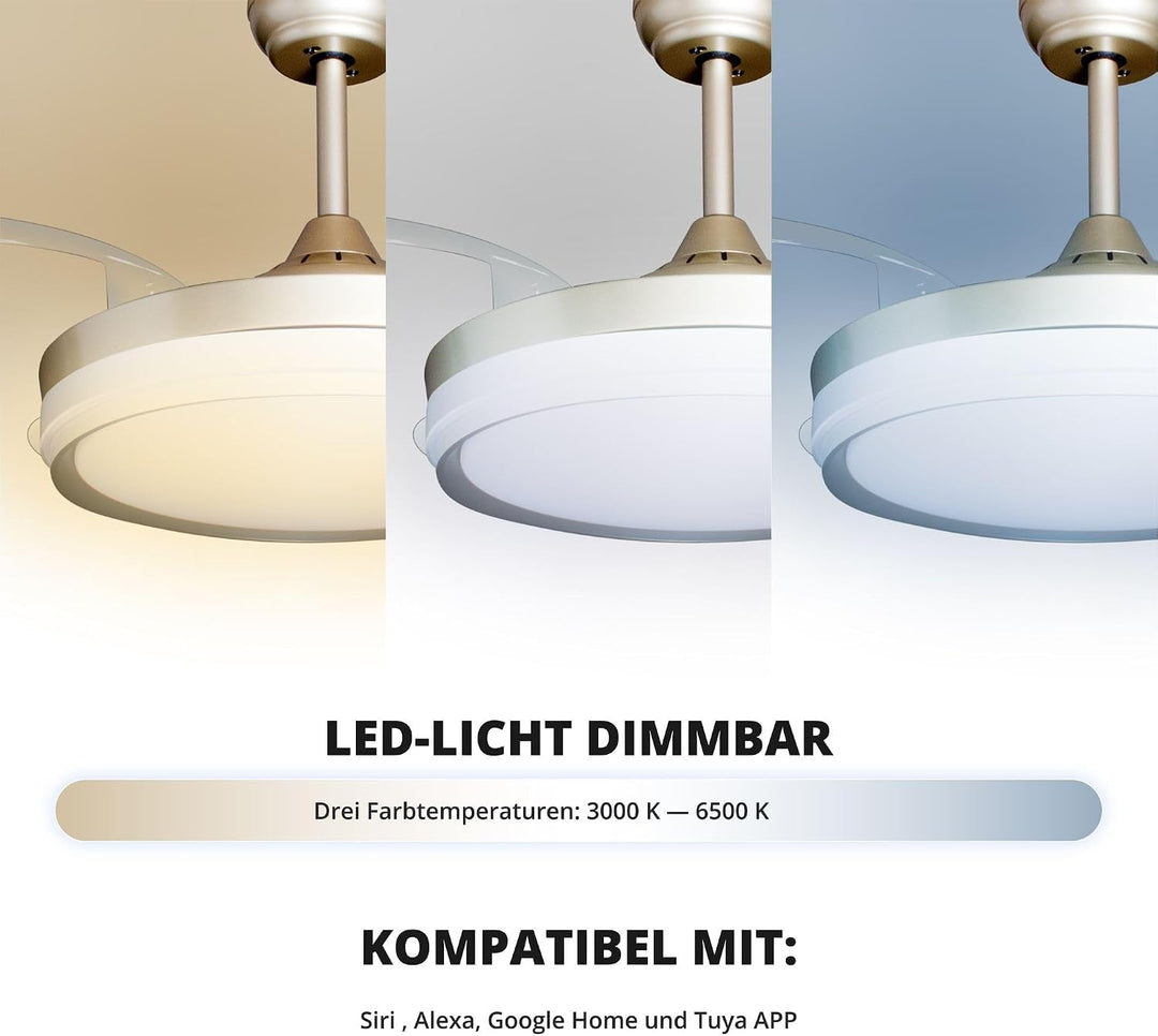 Eclipse Deckenventilator mit Beleuchtung, Leise mit 6 Windstufen, App Goldfarbene Basis Kelora, Gold