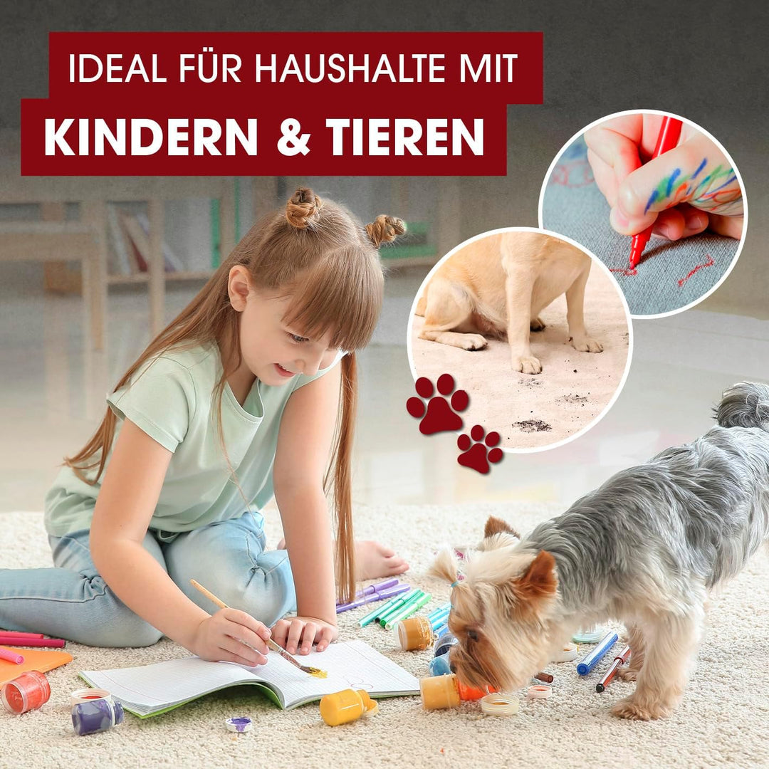 CLEANmaxx Kompakt Plus Polsterreiniger Gerät 400W | kompakter Waschsauger mit 2 Düsen | für Sofa Aut