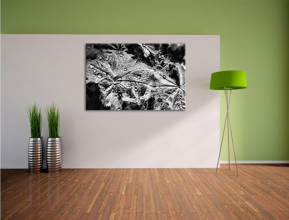 Pixxprint kleine Tropfen auf Blatt als Leinwandbild/Grösse: 100x70 / Wandbild/Kunstdruck/fertig besp