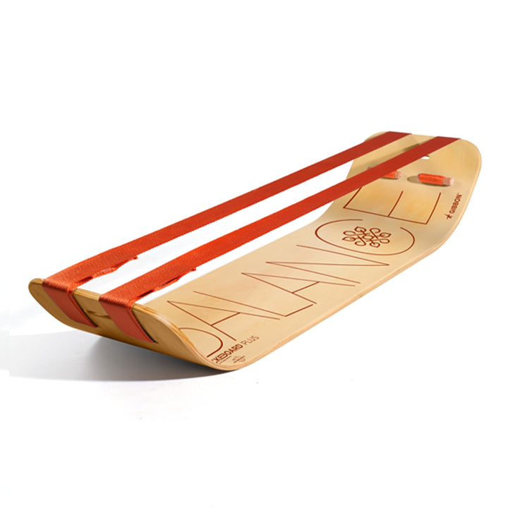 GIBBON SlackBoard – GiBoard Balance Board – Geschenk für Kinder &amp; Erwachsene – 1 &amp; 2 Linienoptionen