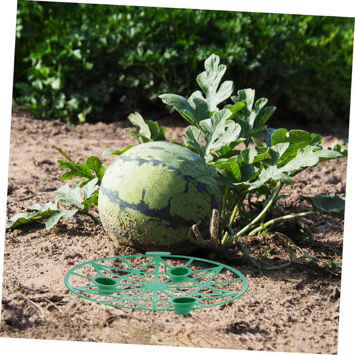 HANABASS Melonenhalter 5 Stück, PP, Grün, Stabile Kürbiswiege für Garten, Grün