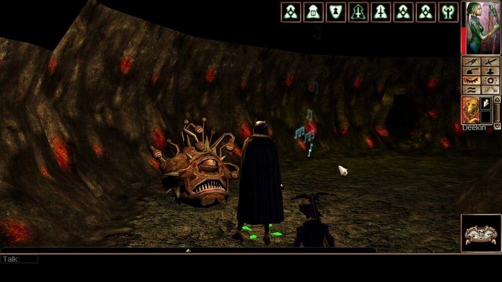 Neverwinter Nights Enhanced und Collector&