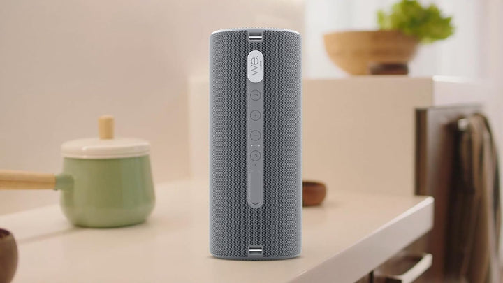 LOEWE We. Hear 2 Storm Grey, Bluetooth Lautsprecher, 60W, Wasserresistent, Tragbar, Aufladbar, 17h L