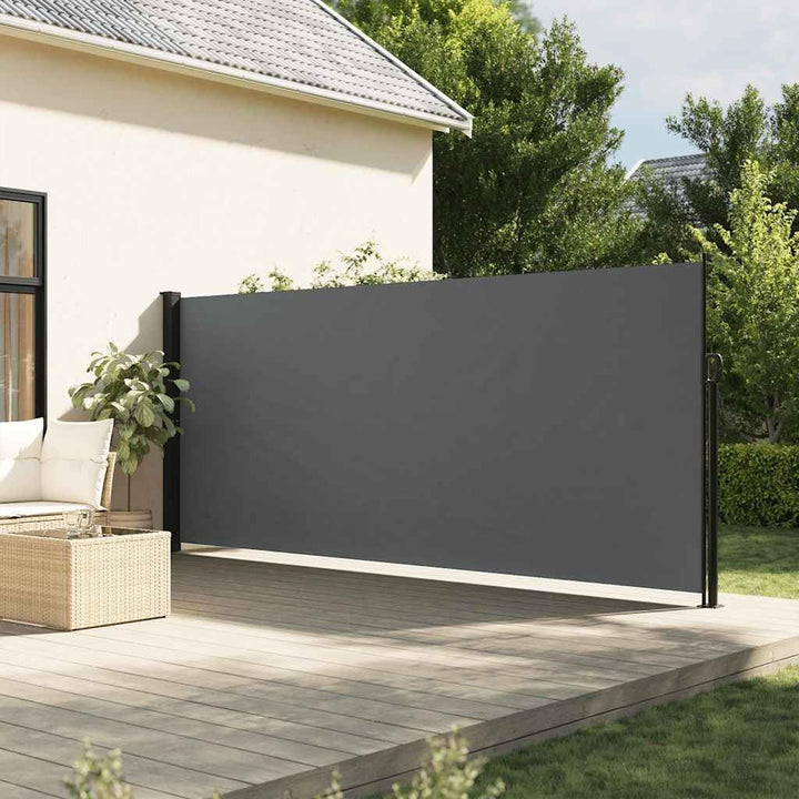 vidaXL Ausziehbare Seitenmarkise Anthrazit 160x300 cm 160 x 300 cm Anthrazit, 160 x 300 cm Anthrazit