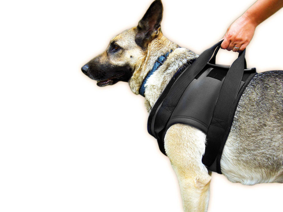 Julius-K9, Neopren Gehhilfe-Geschirr S Schulterbereich, S Schulterbereich