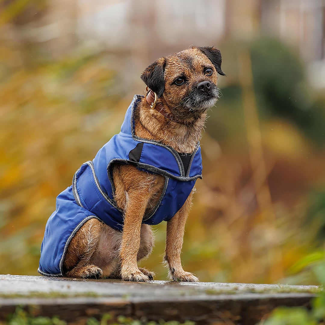 Weatherbeeta 2022 Comfitec Windbreaker Free Deluxe Hundemantel 1003914 - Dunkelblau/Grau/Weiss - 25