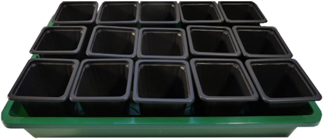 Seedeo® Zimmergewächshaus "easy growing" Komplettset
