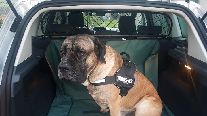 Trennnetz Trenngitter Hundenetz Hundegitter für FORD C-Max BJ 2011-2019