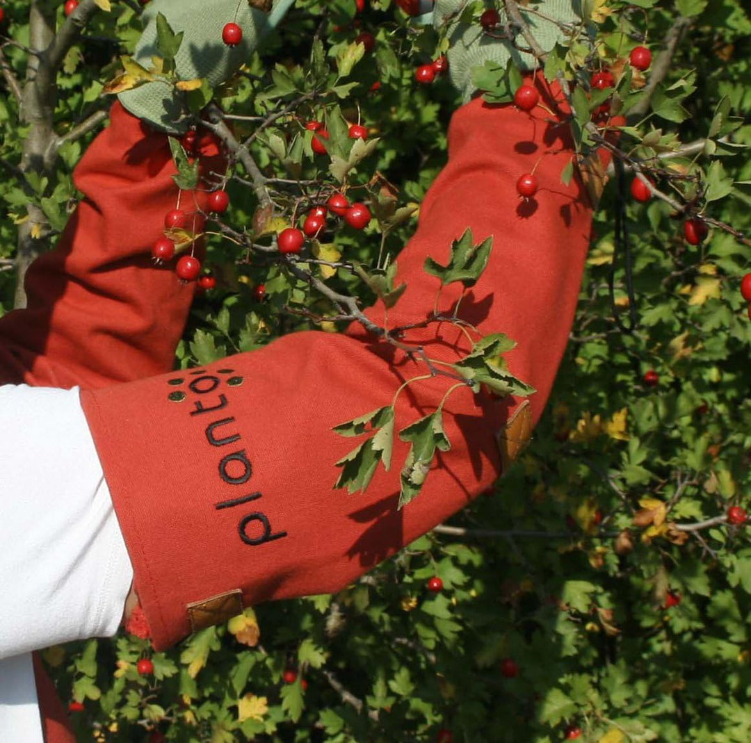 planto Armschützer Armschoner aus Canvas Dornenschutzhandschuhe sicherer Schutz gegen Dornen beim Ro