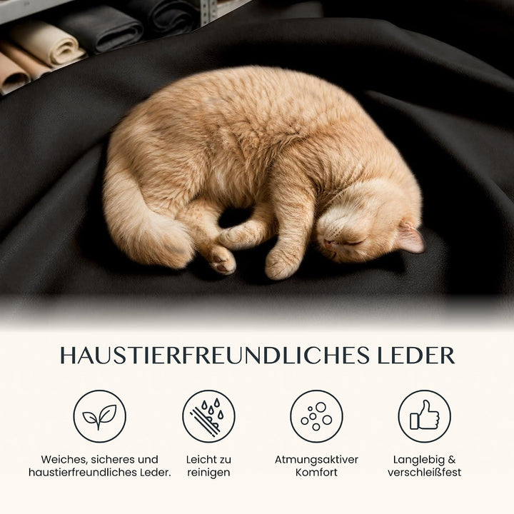 FLEXISPOT Luno Chefsessel Ergonomischer Bürostuhl mit Fussstütze | 180° Armlehnen-Klappfunktion, Kat