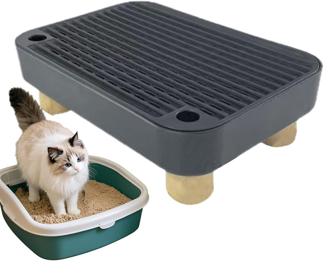 Katzenklo Stufe - Kätzchen Katzenklo Treppe Mit Filterfunktion,Abnehmbare Kätzchen Rampe | Für Innen