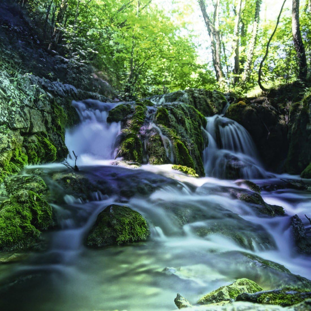 Hama Vario Graufilter, 2-fach Vergütung, Für 77 mm Foto-Kameraobjektive, ND2-400, 77 mm