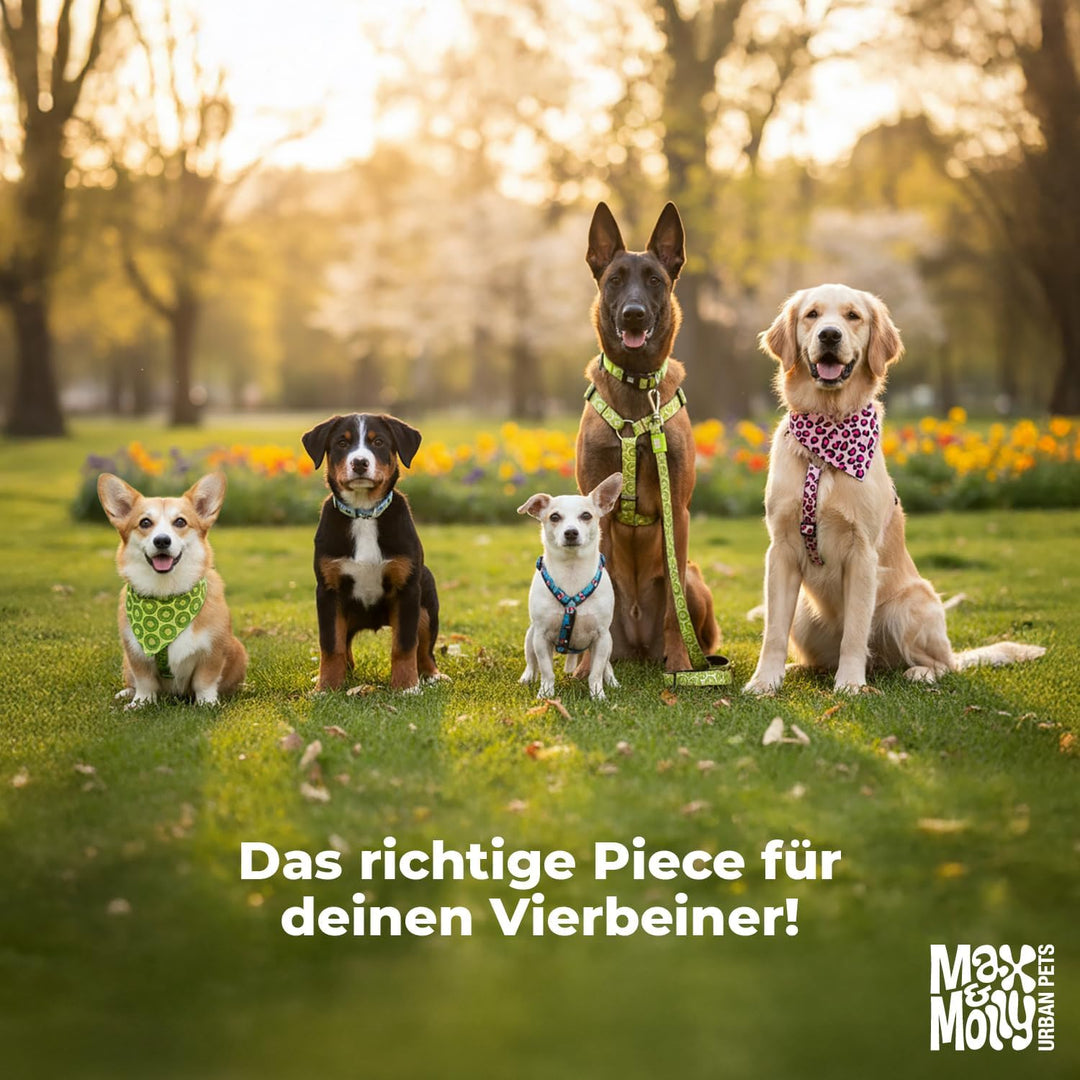 Max &amp; Molly Regenmantel Hund wasserdicht, XS, Stone, Sportliche Regenjacke für Hunde mit verstellbar