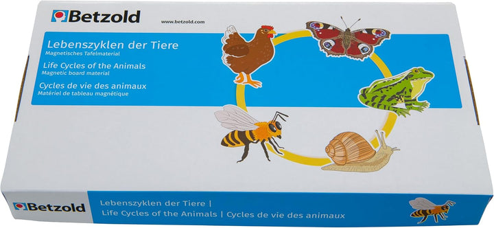 Betzold - Lebenszyklus der Tiere, magnetisch - Tafelmaterial NoColor, NoColor