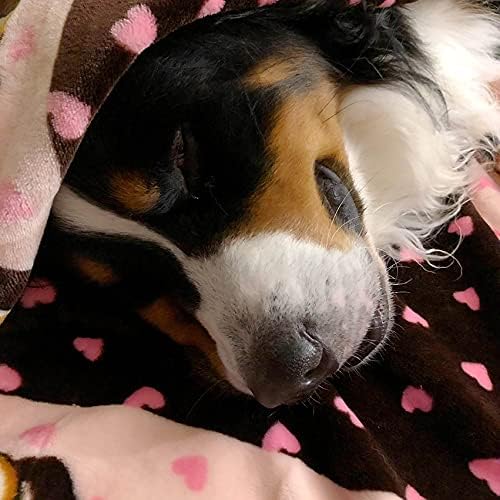 Smart Snuggle Puppy Willkommenspaket Girl, rose