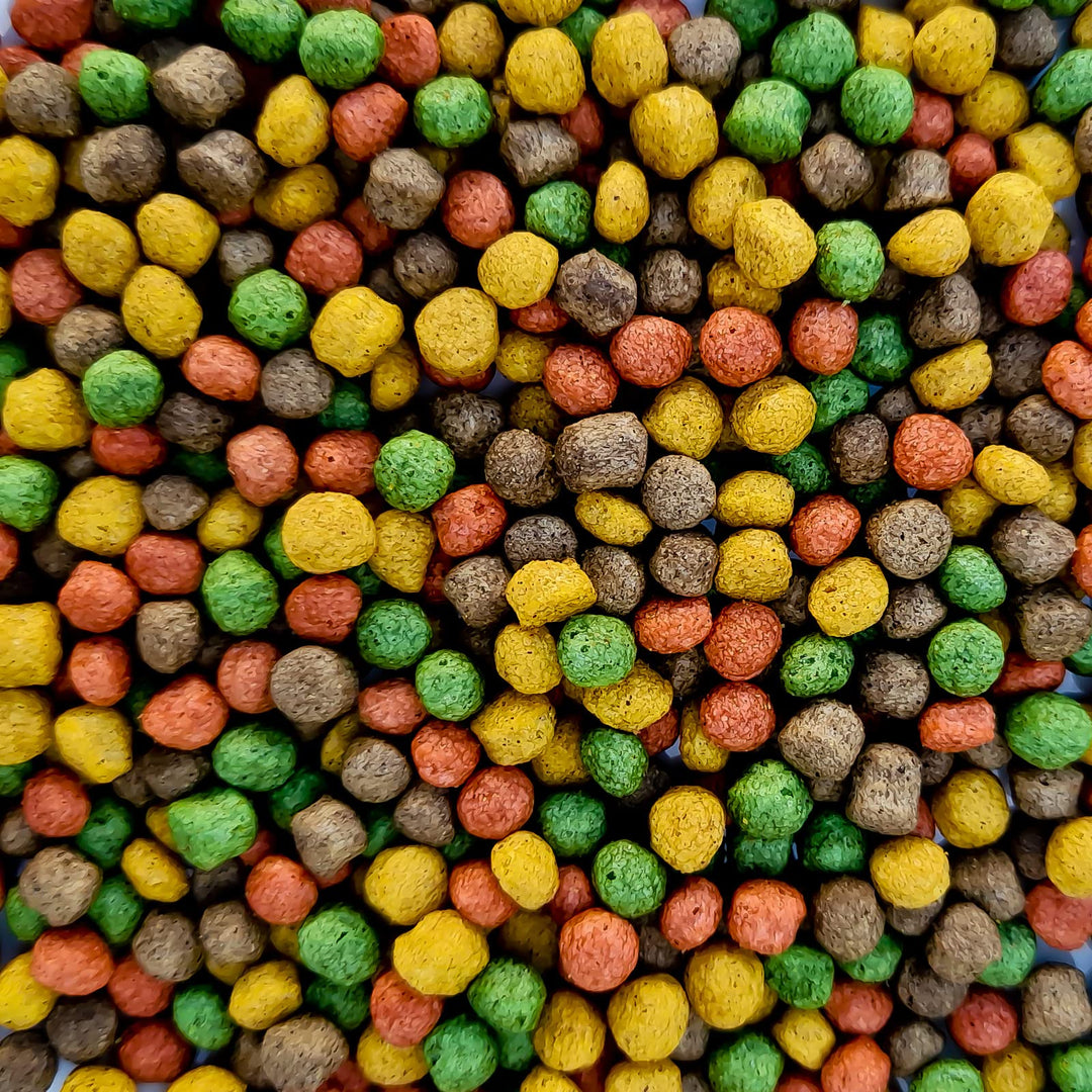 Multi-Mix Koifutter - Der 4 Sorten Futtermix für Koi und Teichfische für ausgewogene Fisch-Ernährung