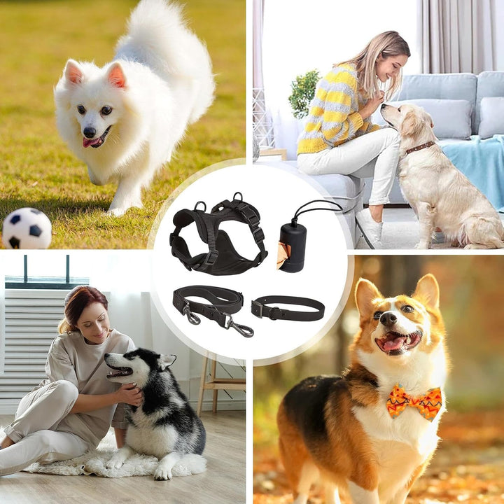 Hundegeschirr-Set – Hundehalsband, Leine, Set für kleine Haustiere, Halsband und Leine, kein Ziehen,