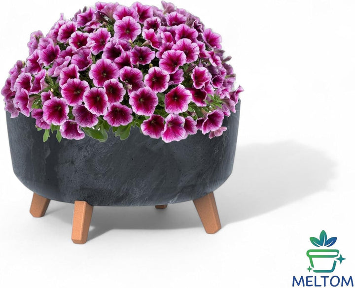 MELTOM Blumentopf Schale mit Füssen Einsatz Blumenschale Kräutertopf Übertopf, 39 cm x 27 cm (Beton
