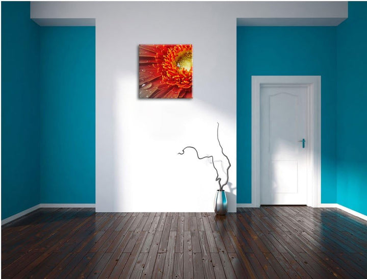 Pixxprint Gerbera mit Wassertropfen als Leinwandbild/Grösse: 70x70 cm/Wandbild/Kunstdruck/fertig bes