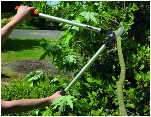 Podadera Expert 45 Cm