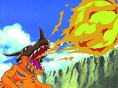 Digimon Adventure - Staffel 1.1 (Ep. 1-18) (2 Blu-rays), Blu-ray