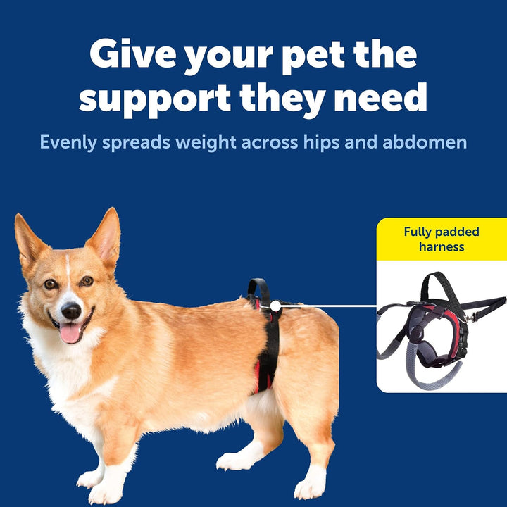 PetSafe CareLift Hinteres Stützgeschirr - Hebehilfe mit Griff - Ideal für Haustier-Mobilität und ält