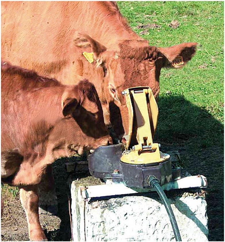 Kerbl Weidepumpe Aquamat II MK für Milchkühe &amp; Kälber