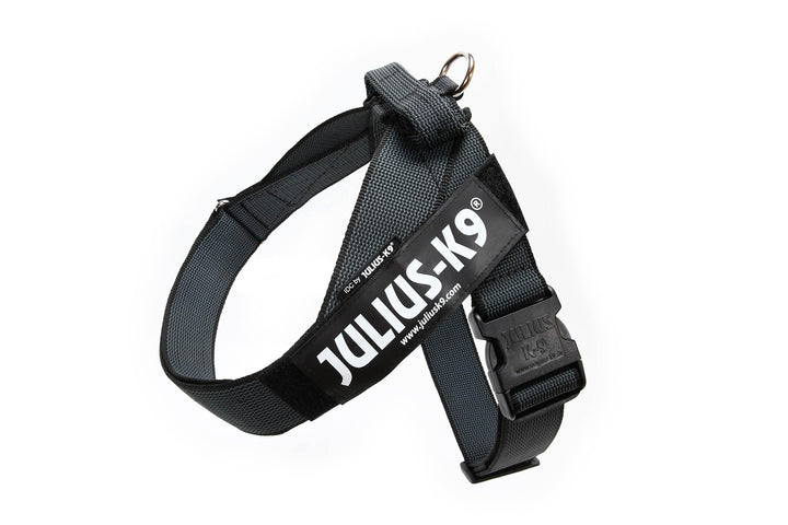Julius-K9, Color &amp; Gray, Beltgeschirr 2XL / 3 schwarz-grau, 2XL / 3 schwarz-grau