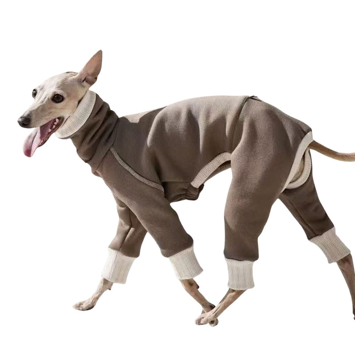 Leichter italienischer Windhund-Pullover, Whippet-Kleidung mit Beinen, winddichter Rollkragen-Hunde-