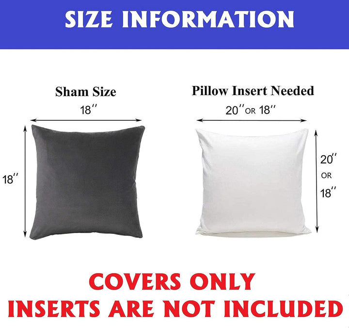 Elegant Comfort POM Fransen Set von 2 Stück Samt Weich Solide Dekorative Quadratisch Wurfkissenbezüg