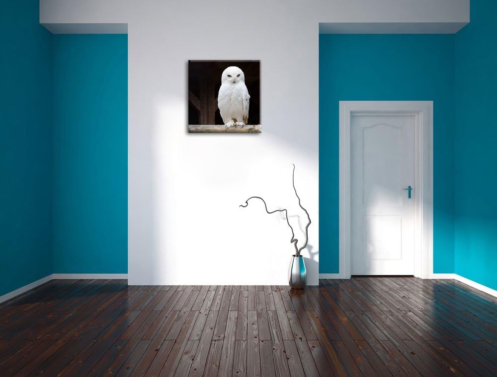 Weisse Schneeeule, Format: 70x70 auf Leinwand, XXL riesige Bilder fertig gerahmt mit Keilrahmen, Kun