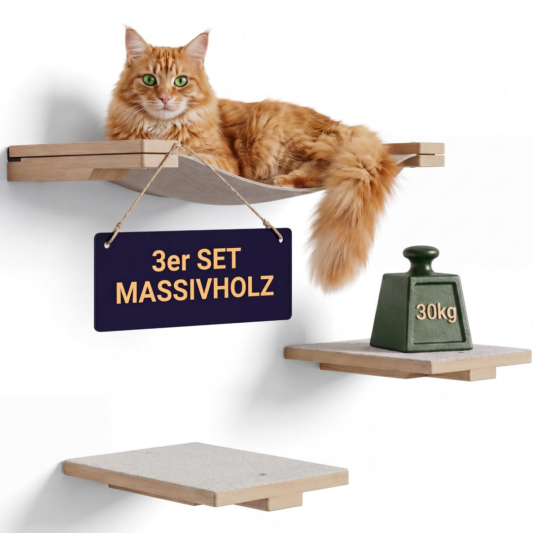 LUXOR Kletterwand Katzen Hängematte inkl. 2X Katzentreppe Wand &amp; Befestigungsmaterial - Stabilität u