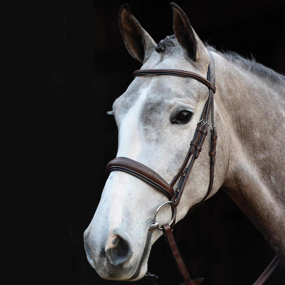 Collegiate Mono Crown Padded Raised Cavesson Snaffle Bridle Full Braun, Full Braun